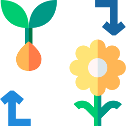 semilla y flor icono
