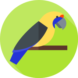 Parrot icon