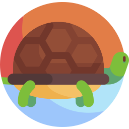 tortue Icône