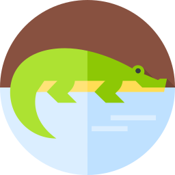 krokodil icon