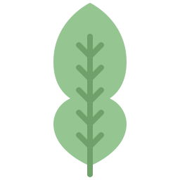 Kaffir lime leaf icon