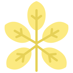nussbaum icon