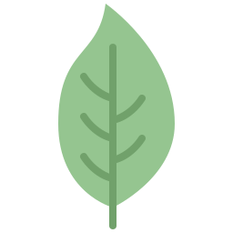 Dogwood leaf icon