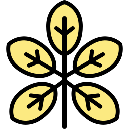 호두 icon