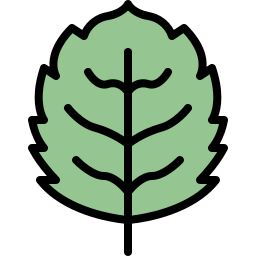 Tree leaf icon