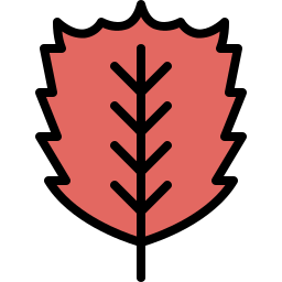 느릅 나무 icon