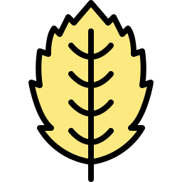 木の葉 icon