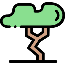 baum icon