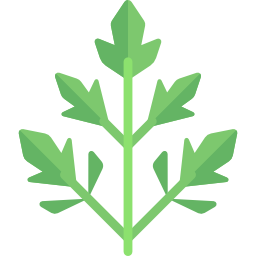 Parsley icon