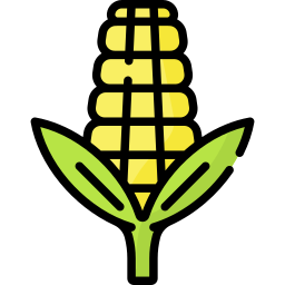 Corn icon