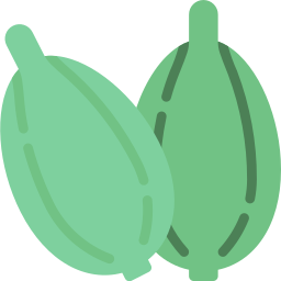 cardamomo icono