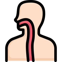 Esophagus icon