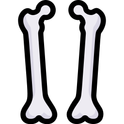 femur icon