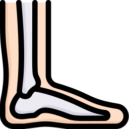 Foot icon