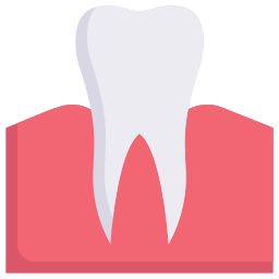 molar Ícone