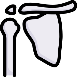 Shoulder blade icon