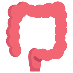 Colon icon