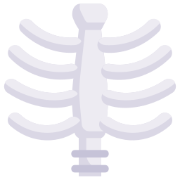 costelas Ícone