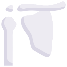 Shoulder blade icon