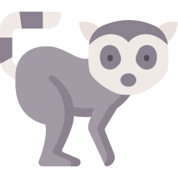 lemur icoon