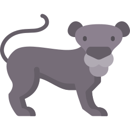 Panther icon