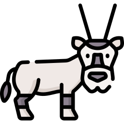 oryx Icône