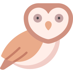 hibou Icône