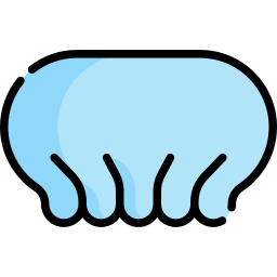 Hairnet icon