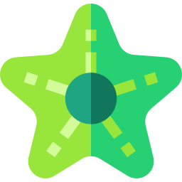 Star icon