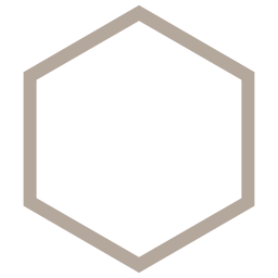 hexagone Icône