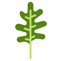 rucola icon