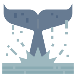 Whale icon