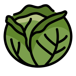 Cabbage icon