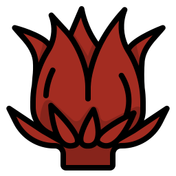 Hibiscus icon