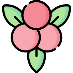 Berries icon