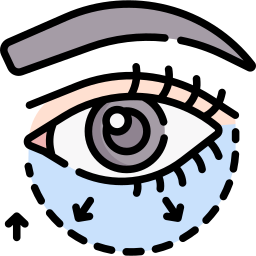 Eye bags icon