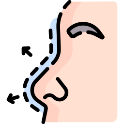 鼻整形 icon