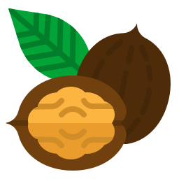 Walnut icon