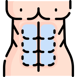 bauchmuskeln icon