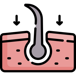 haartransplantation icon