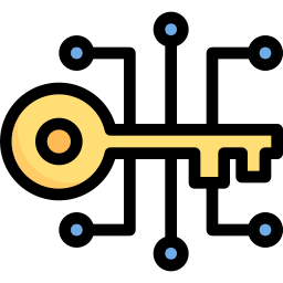 chiave digitale icona