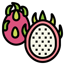 Dragon fruit icon