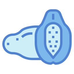 Papaya icon