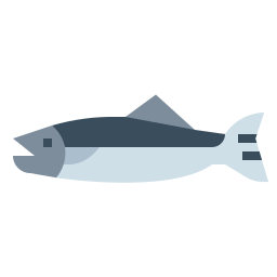 Salmon icon