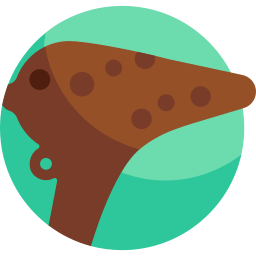 ocarina icono