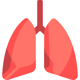 pulmones icono