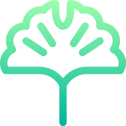 Ginkgo biloba icon