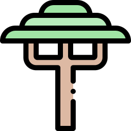 acacia icoon