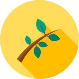 나뭇가지 icon