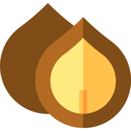 Macadamia nut icon